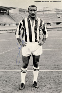 (1935-2021) S/W-Autogrammkarte Luis del Sol (ESP) im Trikot von Juventus Turin). 16x10,8 cm.